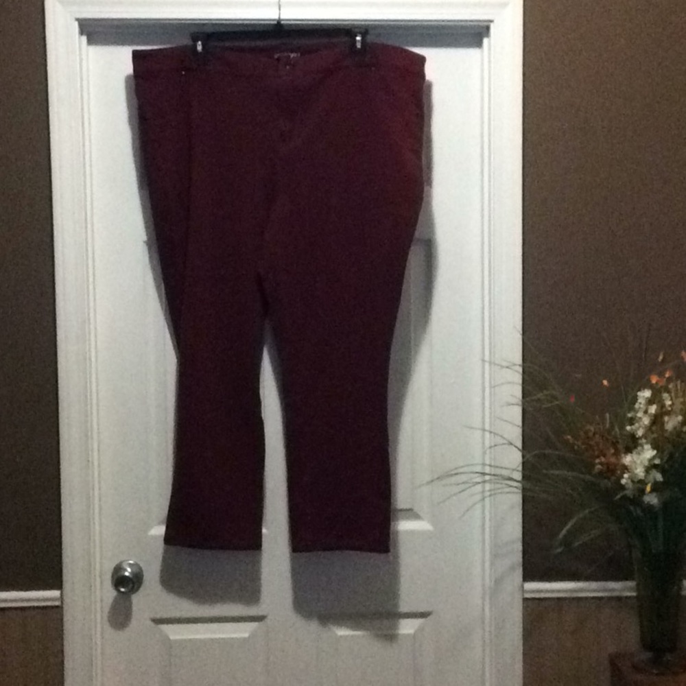 Lane Bryant stretch jeans 28